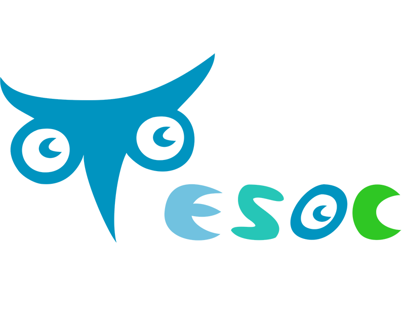 国际化项目：对中英语教学（Tesoc）